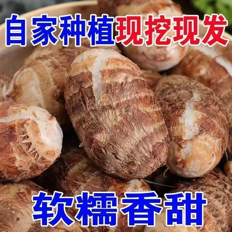 农家牛奶贵州芋头新鲜香芋芋艿蔬菜现挖毛芋当季整箱批发香糯奶香