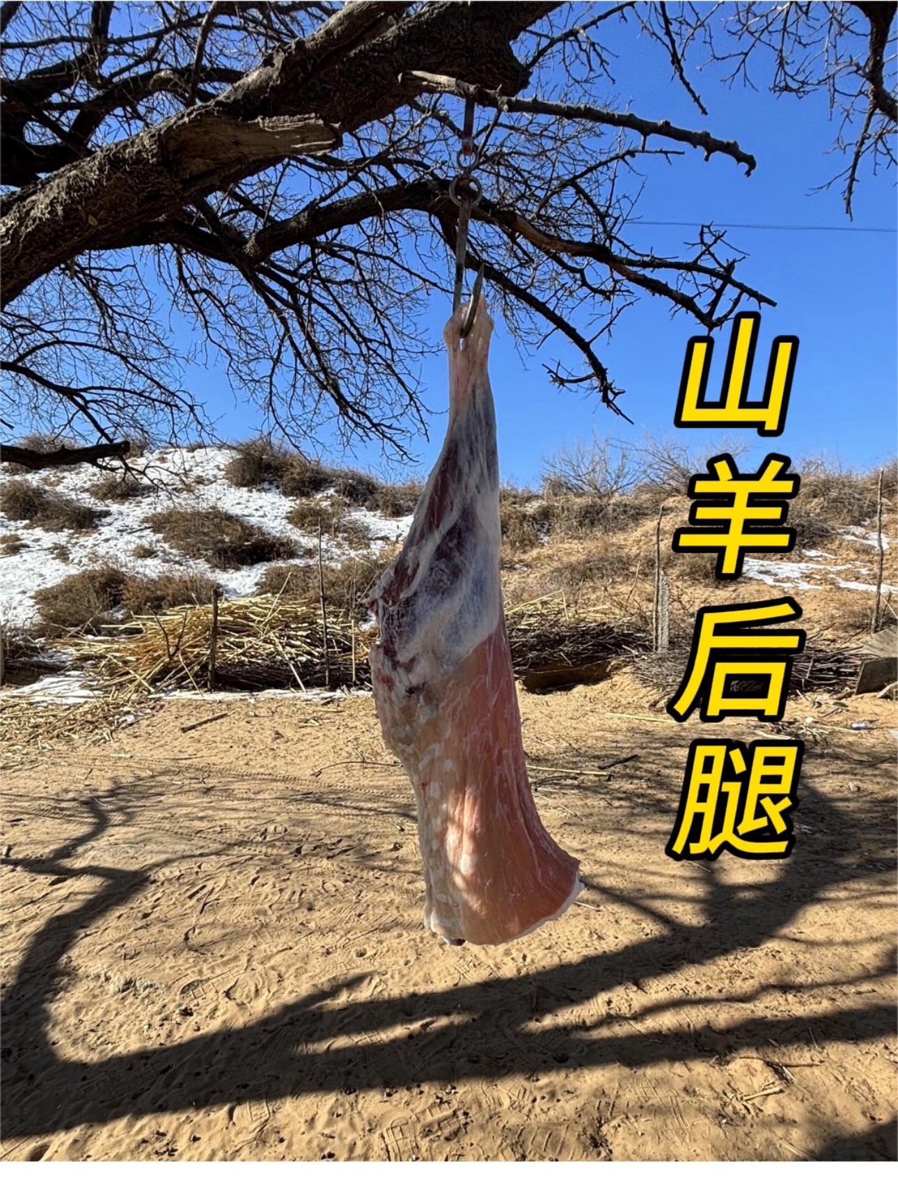 羊后腿骨肉(去油淋巴)【包邮】