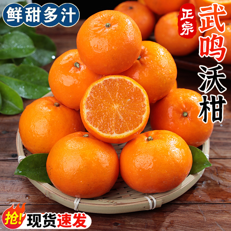 ZZ正宗广西武鸣沃柑当季头茬现摘新鲜水果橘子柑橘皮薄香甜多汁