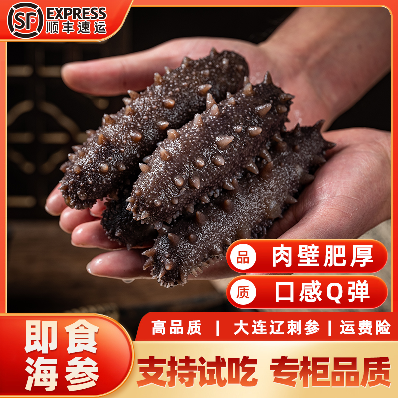【破价福利】6-10头口感Q弹即食海参大连辽刺参500g儿童营养送礼