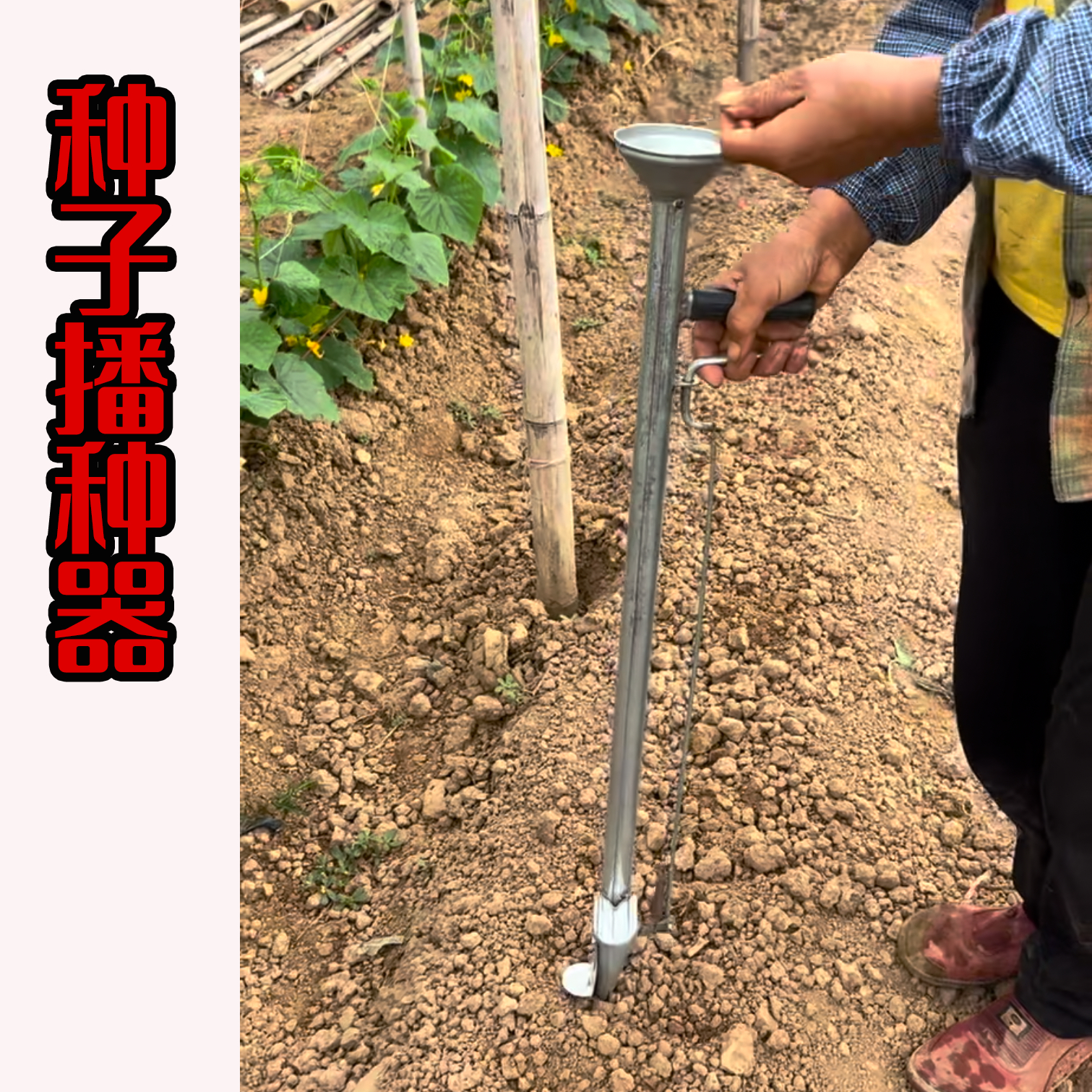 农用播种机种植玉米黄豆花生种子播种机点播器种植机施肥器点种机