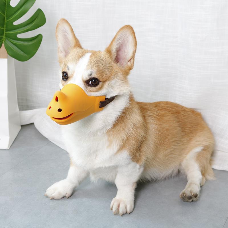 狗狗嘴套柯基中小型犬防舔防咬叫防乱吃狗口罩嘴罩止吠器宠物用品