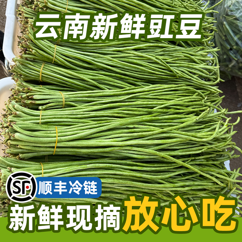 顺丰包邮云南长豆角时令蔬菜农家现摘豇豆新鲜嫩豆角豇豆泡菜脆嫩