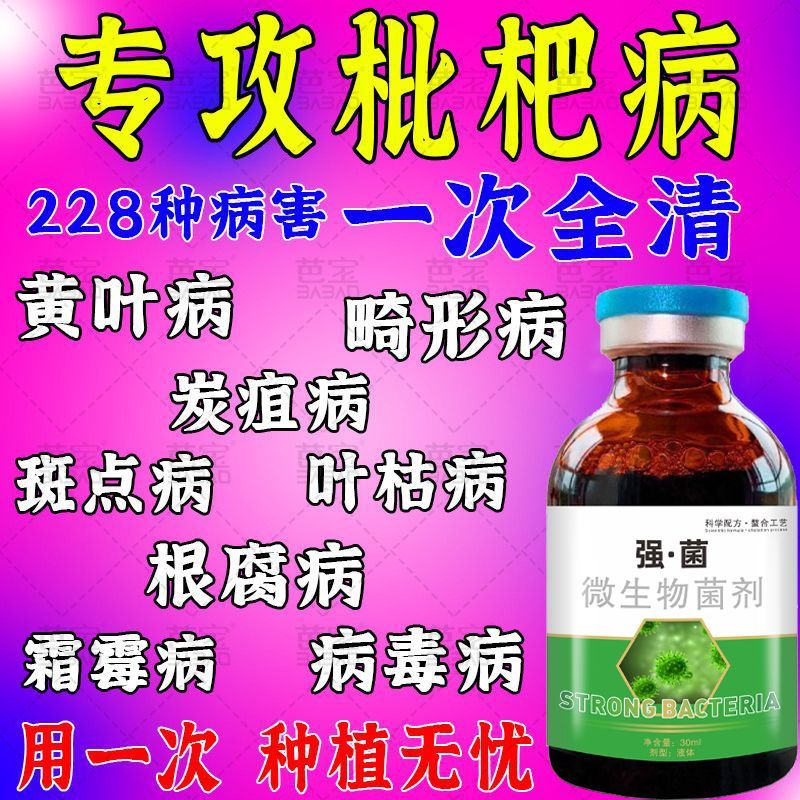 枇杷花腐病强效杀菌剂枇杷果专用药病全治斑点黄叶干腐炭疽病正品