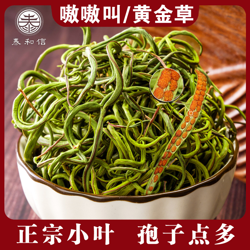 长白山黄金草 东北嗷嗷叫 正宗小叶嗷嗷草石头茶 孢子多 搭配枸杞