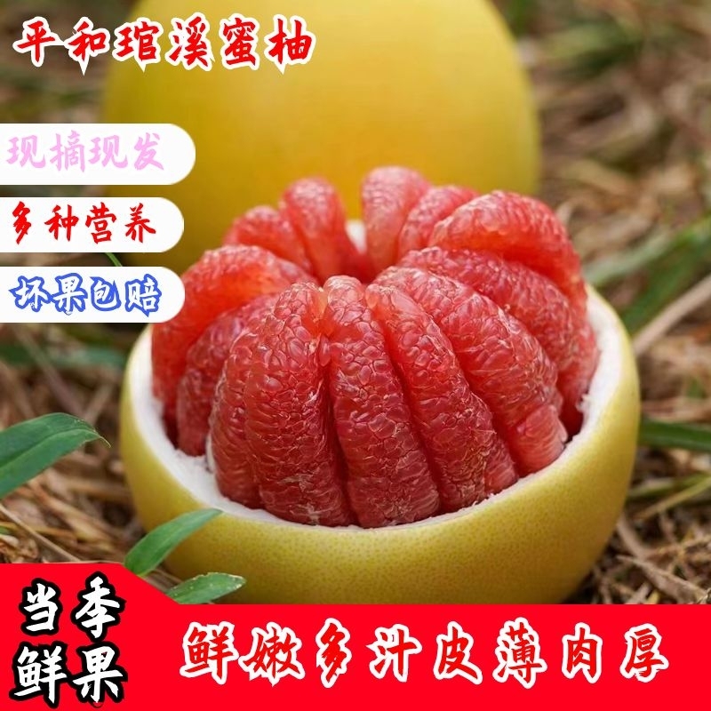 【福建发货】正宗琯溪红心蜜柚福建平和老树新鲜采摘坏果包赔tx