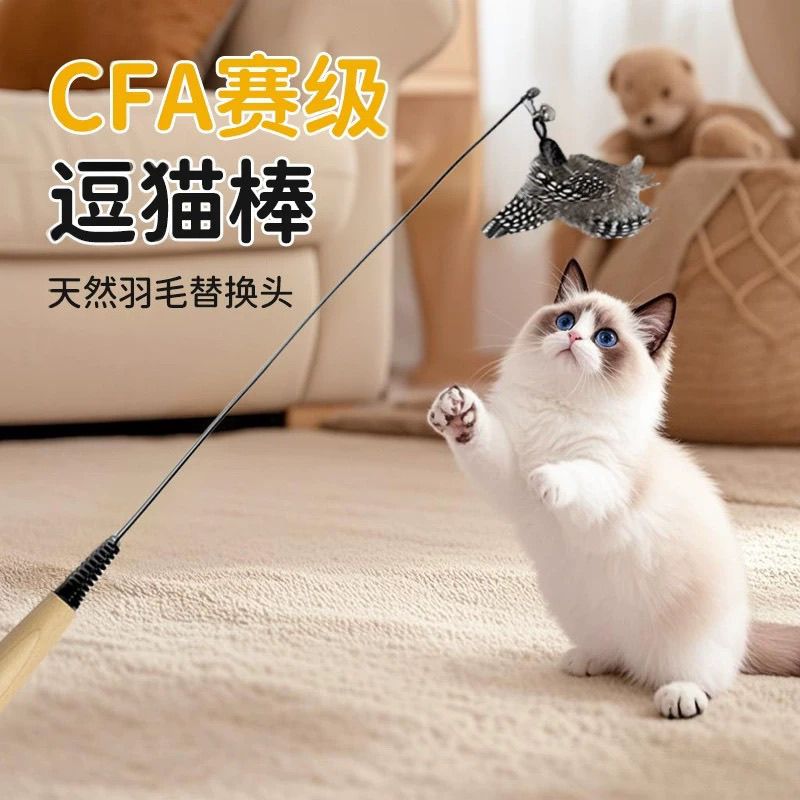 赛级逗猫棒长杆猫玩具小飞虫羽毛替换头耐咬幼猫用品猫咪自嗨L