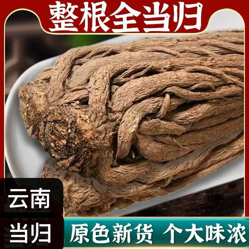 云南当归 云南特产当归深山老当归整颗全当归滋补可搭枸杞