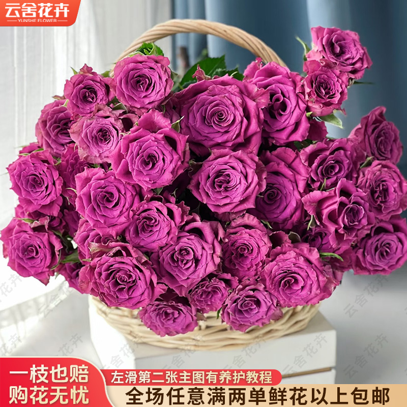 云舍花卉蓝莓玫瑰花花束云南昆明鲜花基地直发真花家用水养插花