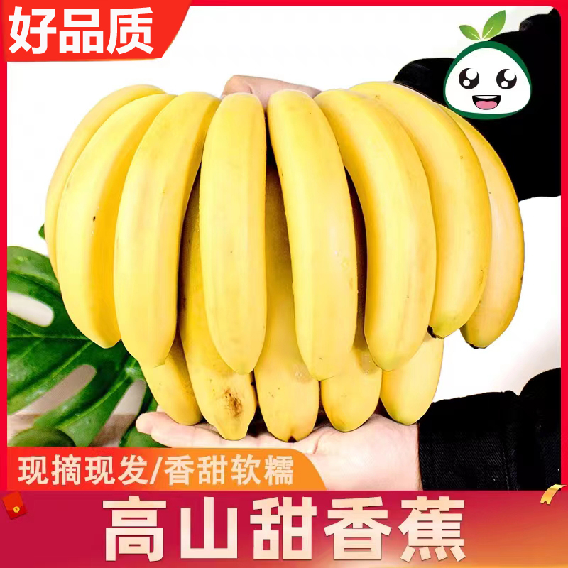 广西高山甜香蕉当季新鲜水果自然熟软糯香甜产地直发