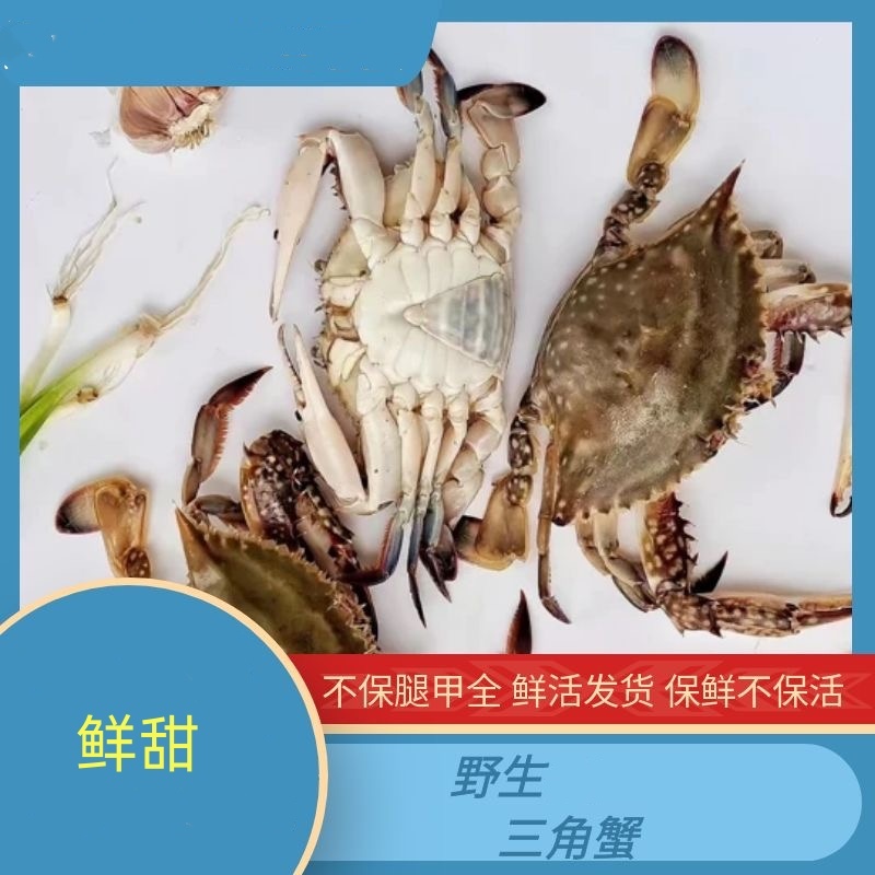 【保鲜不保活】精品小三角2两左右/只 一斤5只左右3斤装不保腿甲全