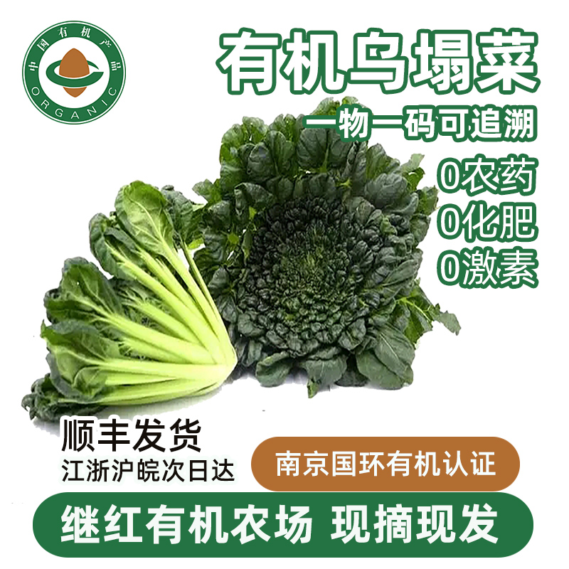 继红有机农场有机乌塌菜农家新鲜蔬菜配送应季净菜青菜沙拉孕婴