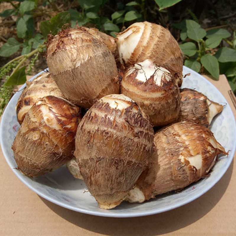 新鲜现挖牛奶毛芋头软糯粉香当季蔬菜