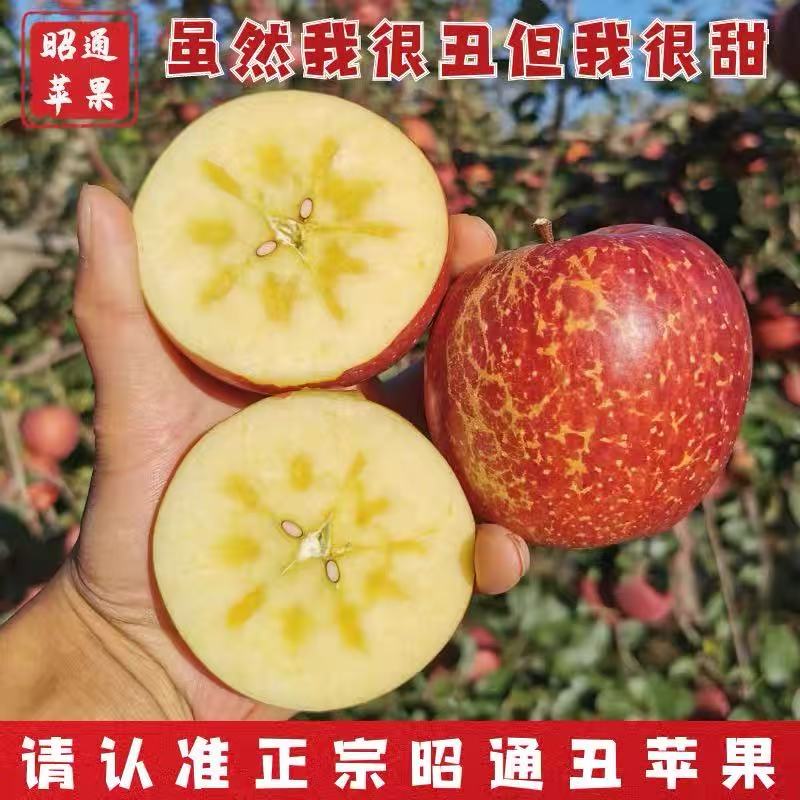 【达人专属】1正宗云南昭通冰糖心丑苹果新鲜采摘脆甜多汁
