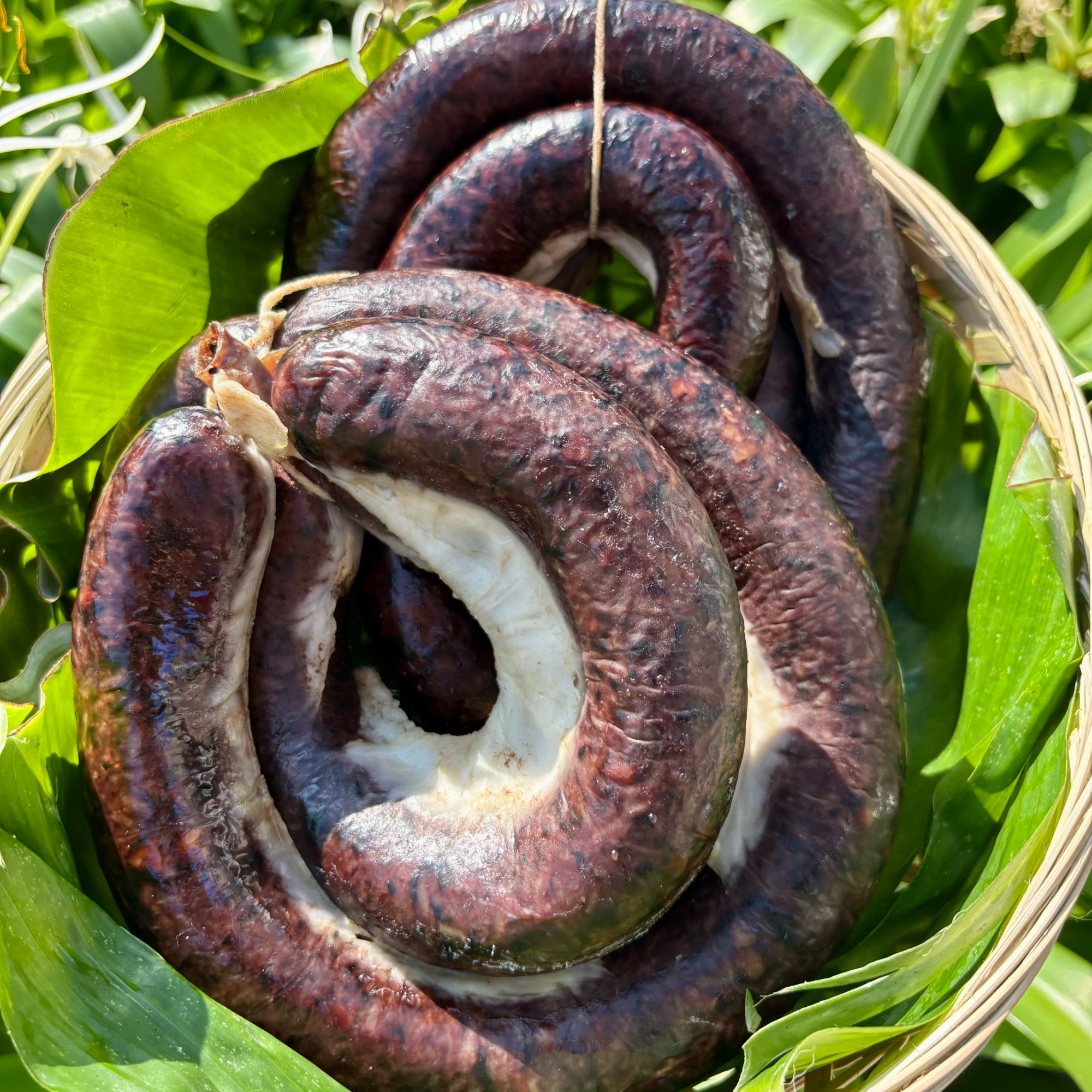 【吕姑娘】 正宗壮乡龙棒猪血肠猪龙棒糯米灌肠咸香味