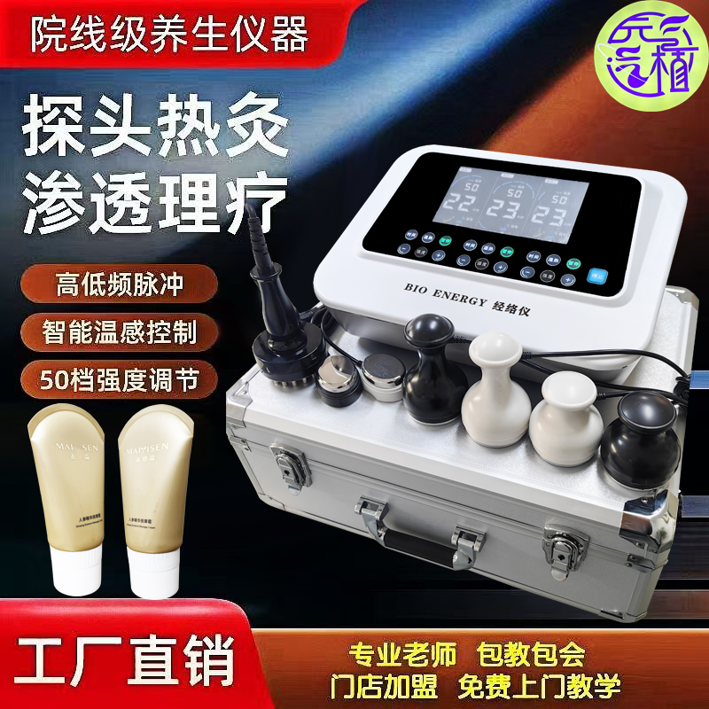 直销功效版元气植值经络仪经络疏通理疗养生仪招财猫按摩仪电疗仪