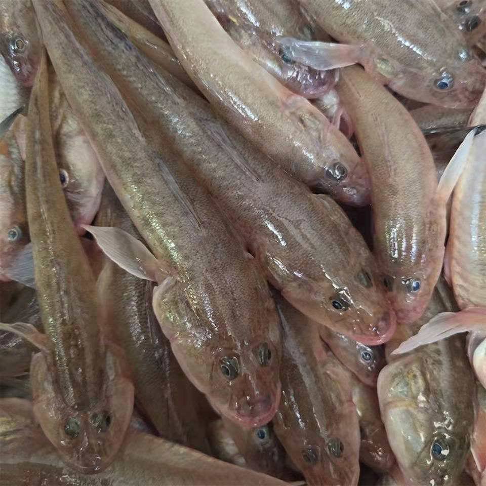 沙光鱼3斤/5斤（一斤二十条左右）速冻发货