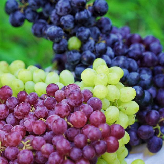 新疆吐鲁番应季水果葡萄沟鲜葡萄4斤±100g【顺丰冷链包邮】