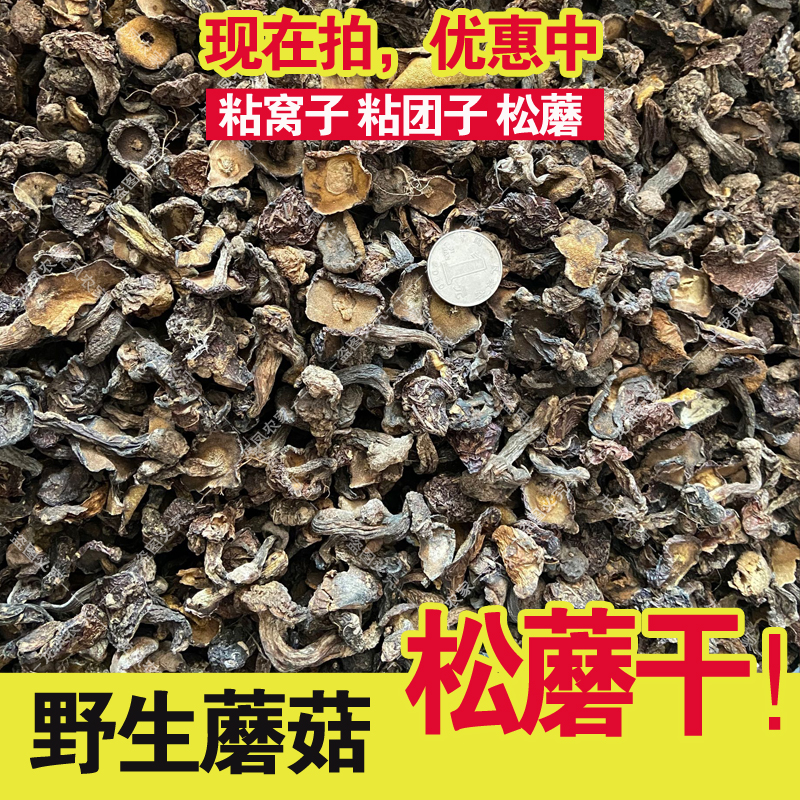 一斤松蘑干货野生菌粘团子粘窝子粘蛾子蘑菇炖小鸡炖白菜500克