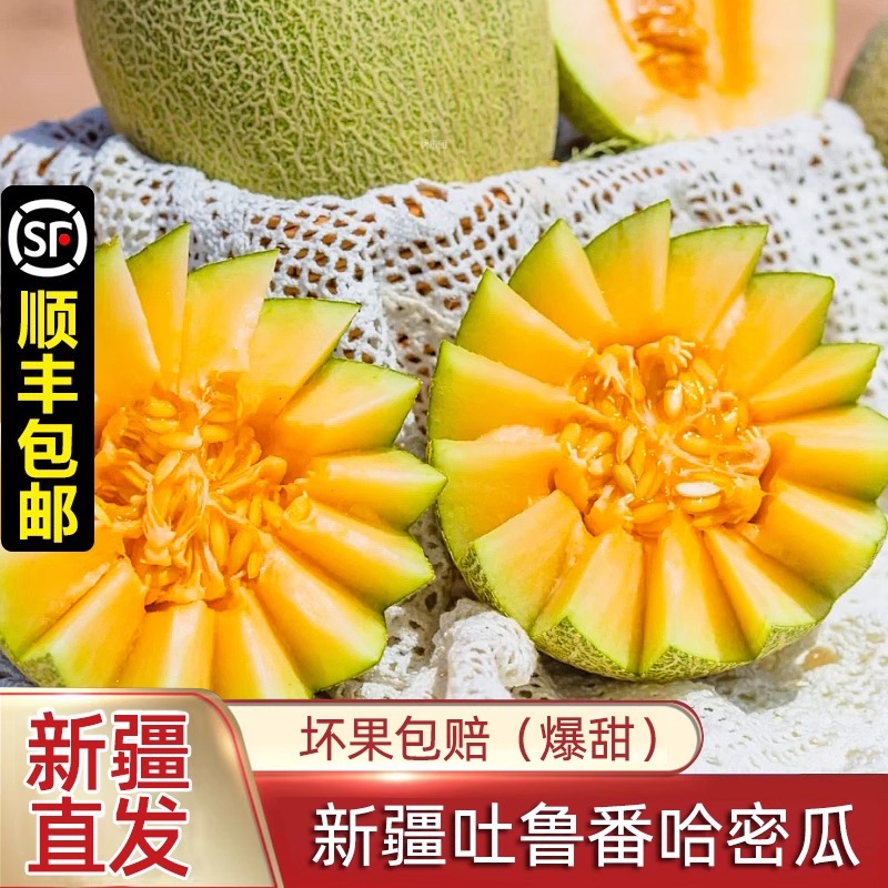 正宗新疆哈密瓜西州蜜25号新鲜水果应当季网纹吐鲁番甜瓜整箱包邮