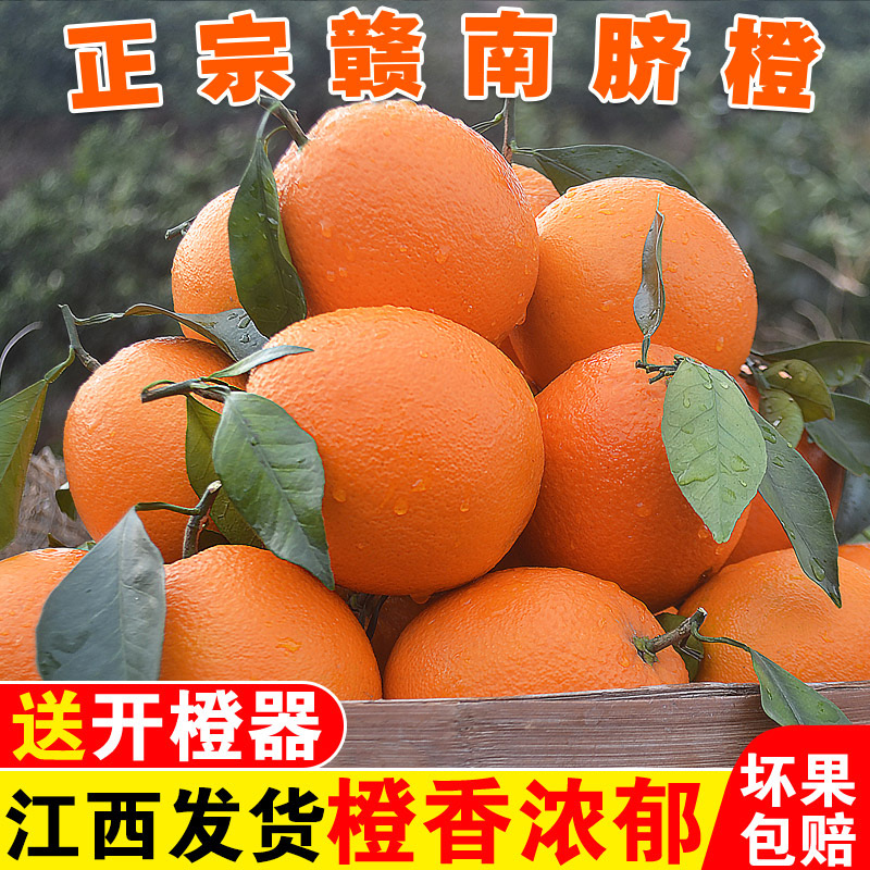 【赣州直发】正宗江西赣南脐橙新鲜应季水果产地直发多汁爆甜橙子