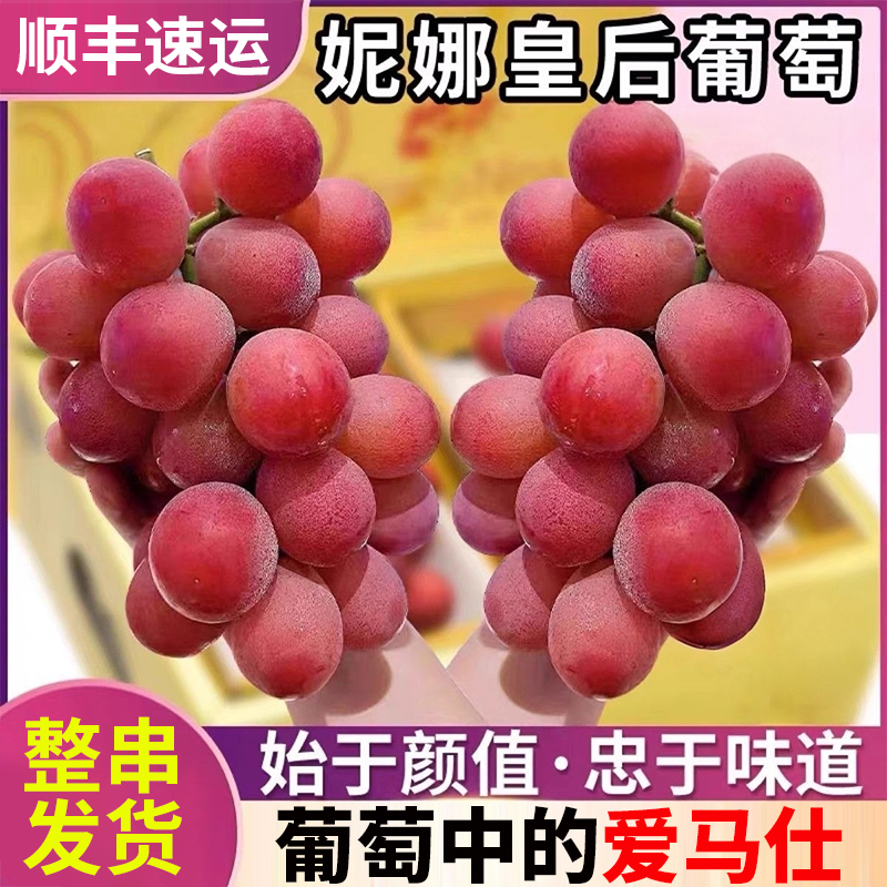S2【顺丰速运】正宗妮娜皇后葡萄无籽红宝石新鲜水果红提整串发货