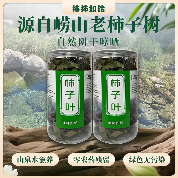 崂山深山柿子叶 手工精选 当季山中新叶