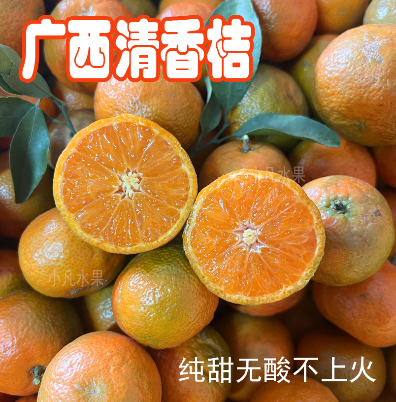 广西清香橘优质蜜桔纯甜无酸巴西柑青皮桔优质茶橘现摘现发不上火