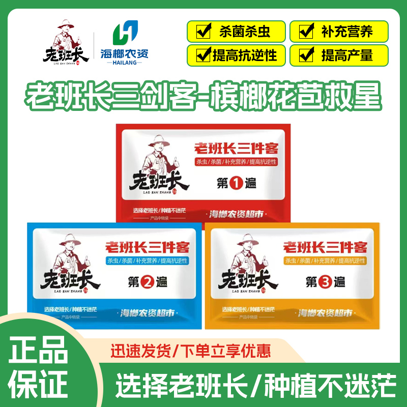 老班长三剑客（槟榔花苞得力助手）