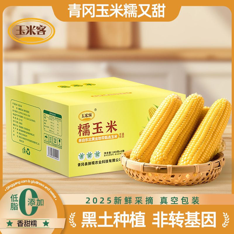 玉米客 2025年东北黄糯玉米每根240g以上到手共9根（透明包装）