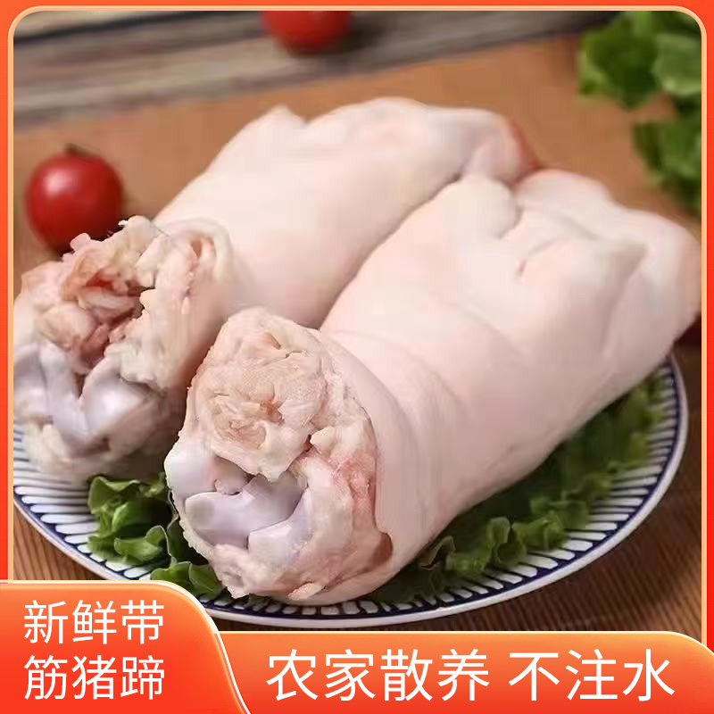 【五斤】农家土猪蹄猪手猪脚前蹄香猪蹄小短蹄新鲜猪蹄顺丰冷链发货