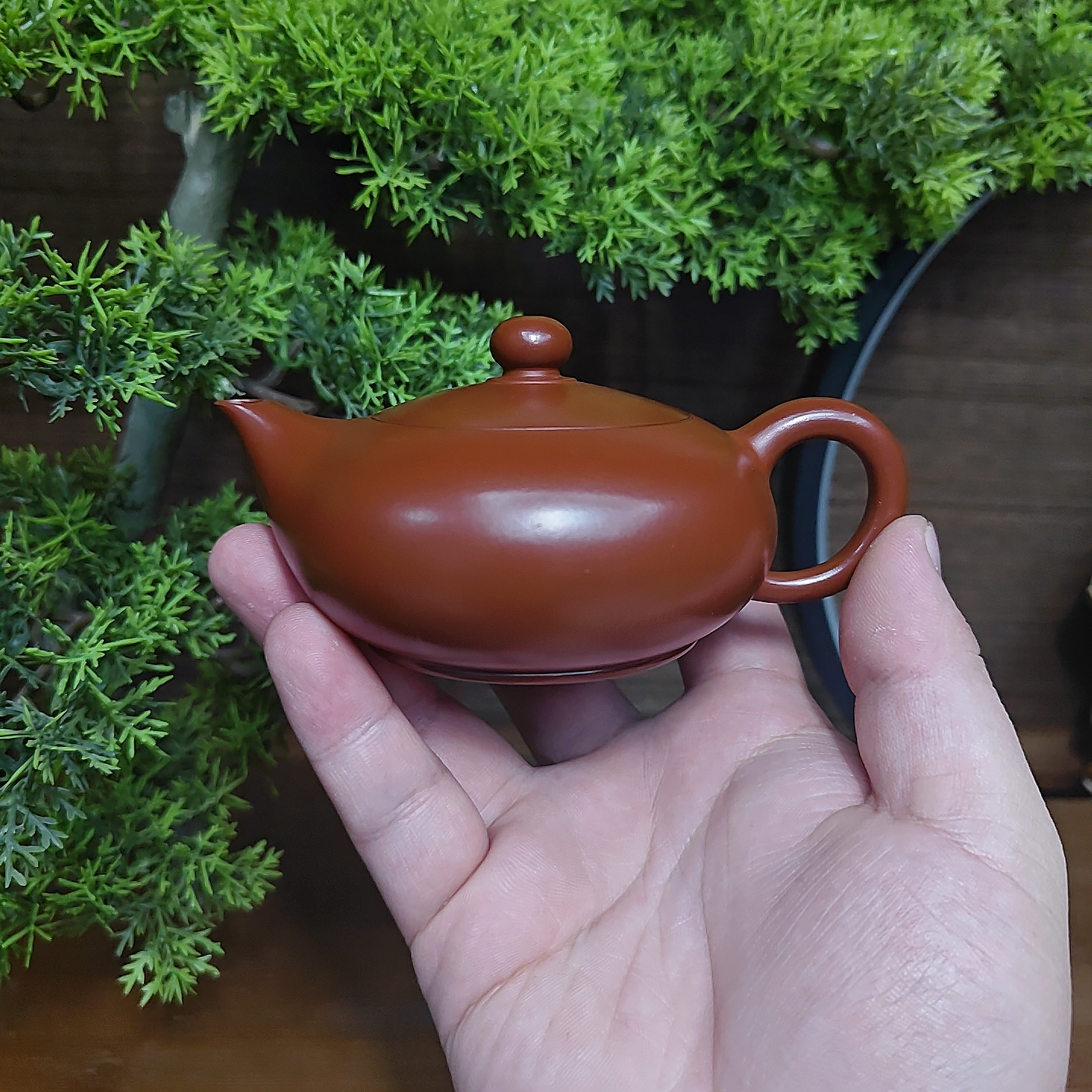 紫砂壶优质原矿朱泥大红袍手工凤雏壶小容量工夫茶具泡茶壶纯手工