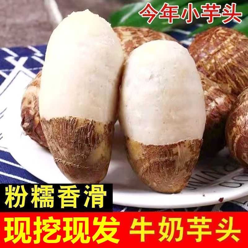 【主播推荐】现挖香芋新鲜正宗芋头芋艿粉糯产地地直发牛奶小芋头