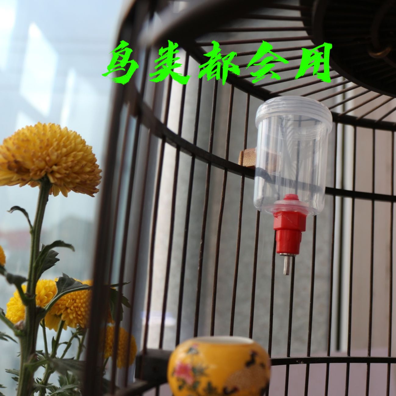 鸟用自动撞针饮水器山雀贝子玉鸟靛颏画眉黄雀绣眼鸟具鸟笼鸟水罐