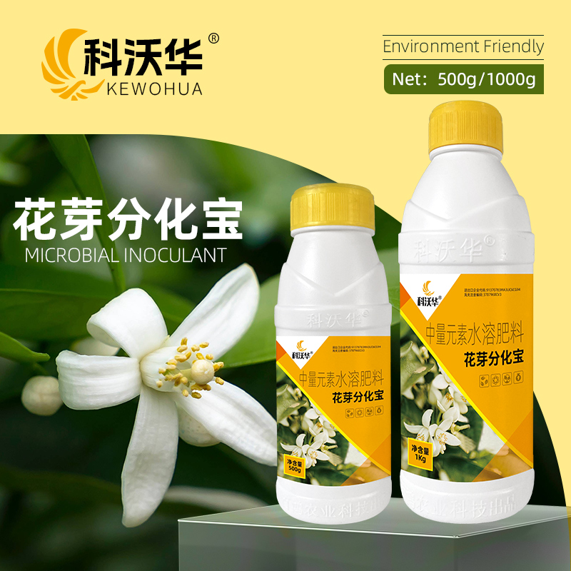 科沃华花芽分化宝瓜果果树促进花芽分化促花促果中量元素水溶肥