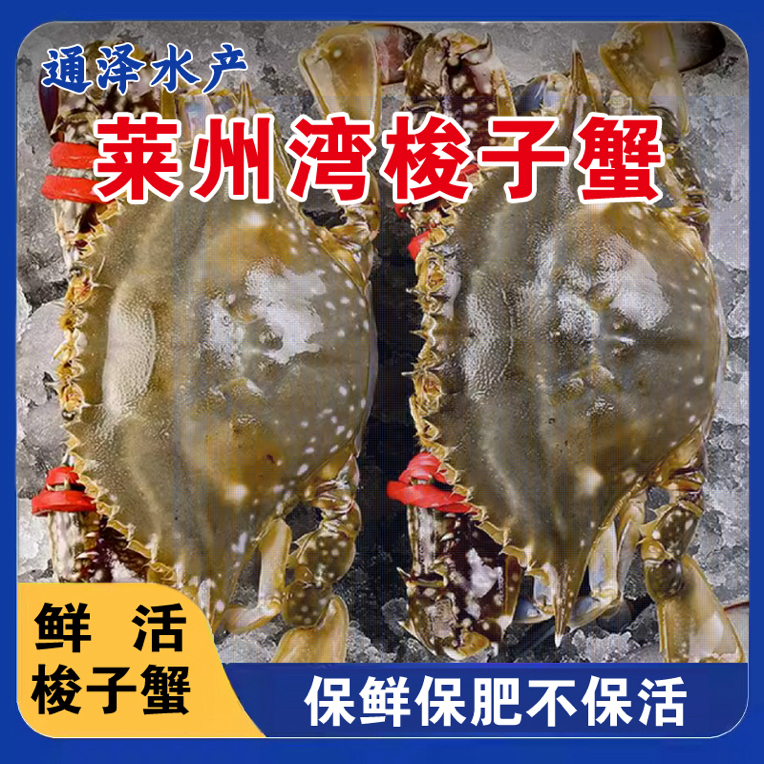 莱州通泽水产海补梭子蟹活发【保鲜不保活】3两/只 3斤装