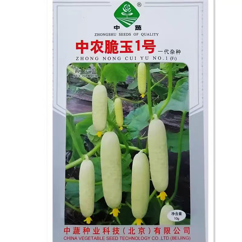 中农翠玉黄瓜种子白翡翠黄瓜白皮水果黄瓜农科院白玉黄瓜种子大全