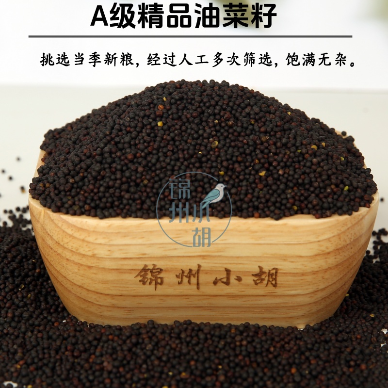 油菜籽鸟食 真空鸟粮当年新粮 包邮玉鸟丝雀鹦鹉食