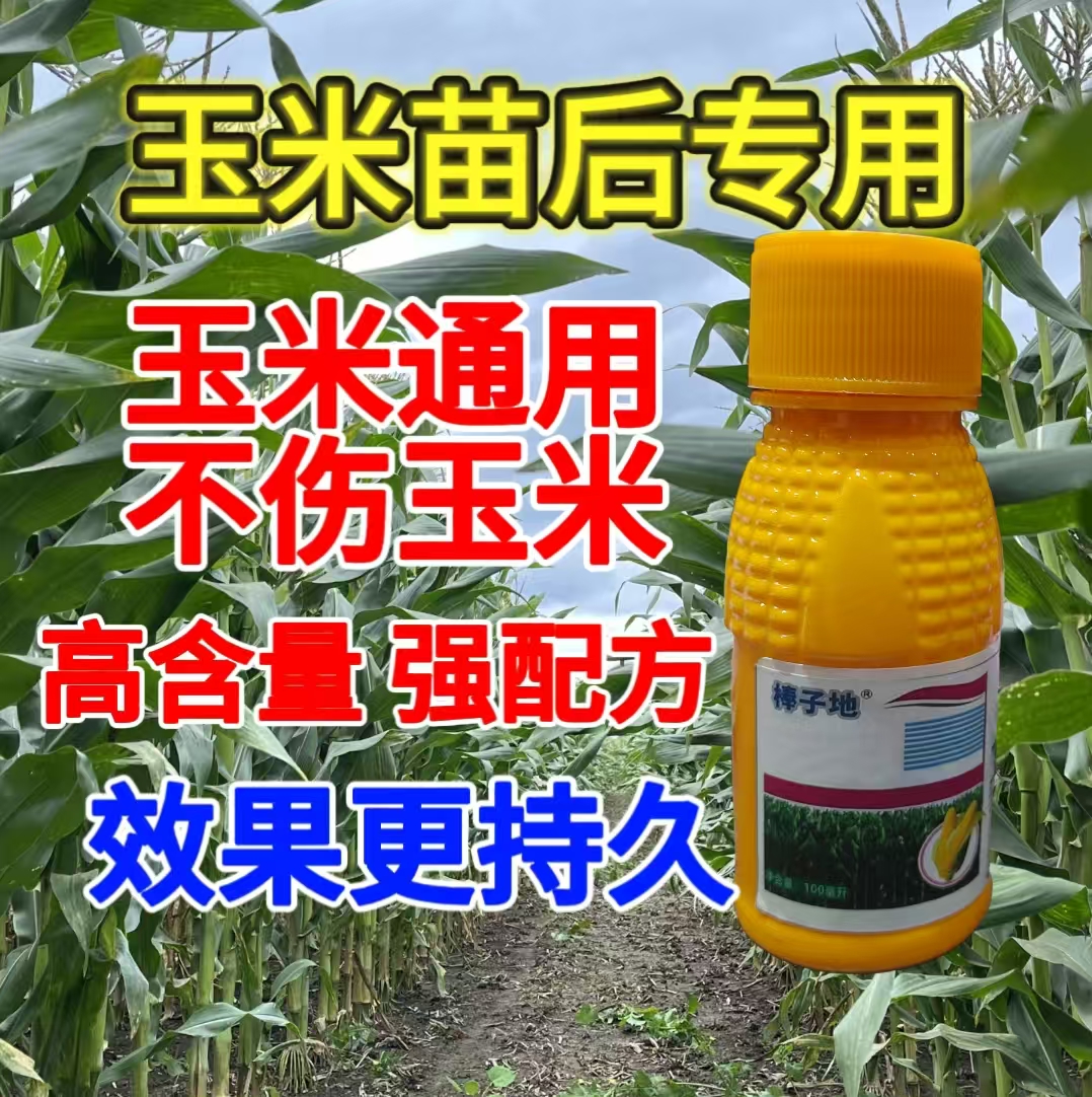 1正品保障玉米地苗后专用不伤玉米苗持久消除