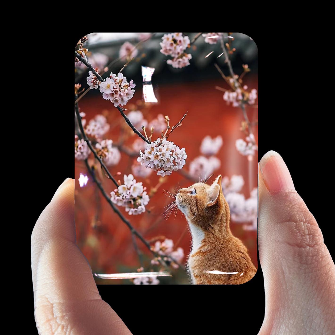 故宫猫系列冰箱贴可爱送人收藏纪念品