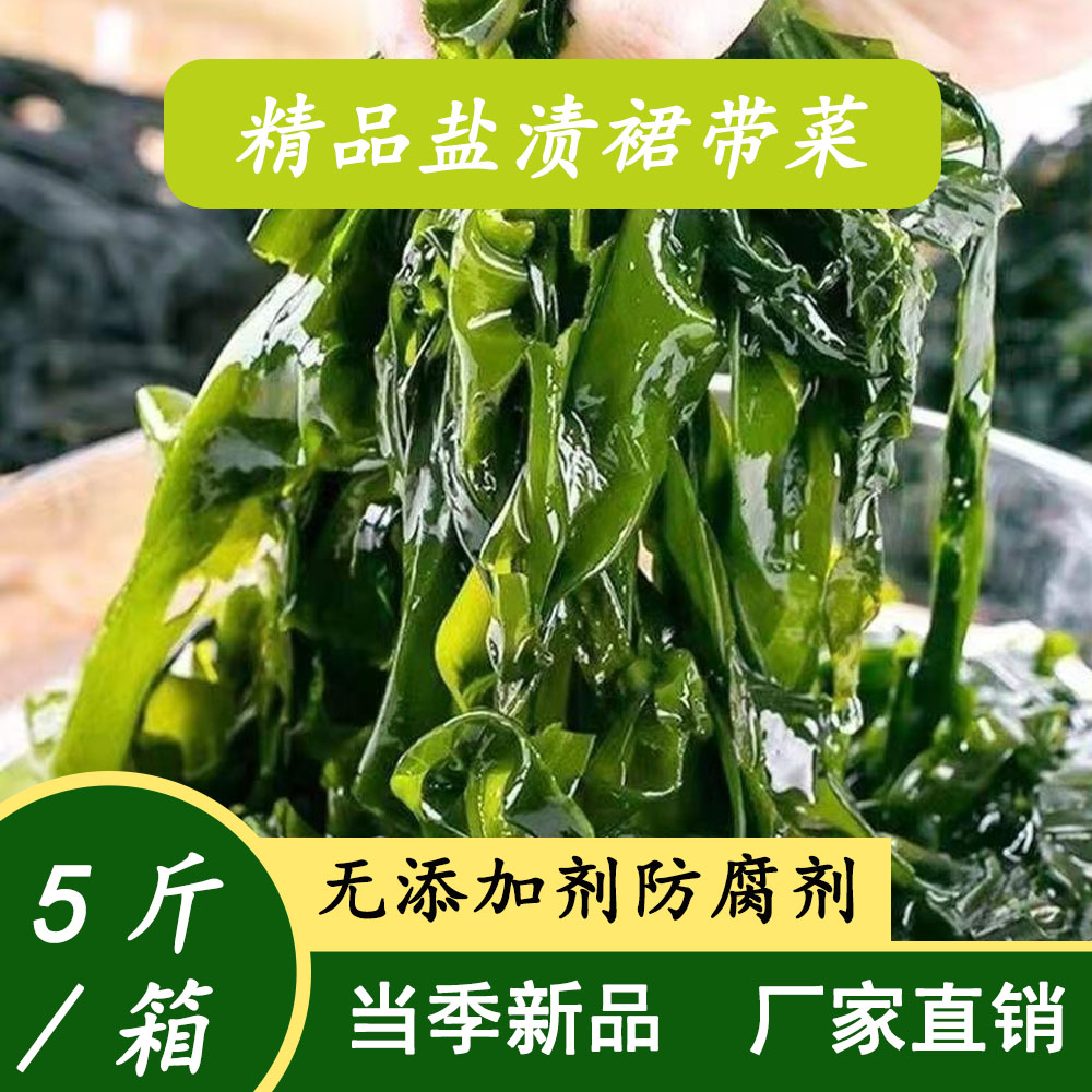 （25年新菜）头茬盐渍裙带菜少盐大连新鲜火锅凉拌煲汤冒菜必备