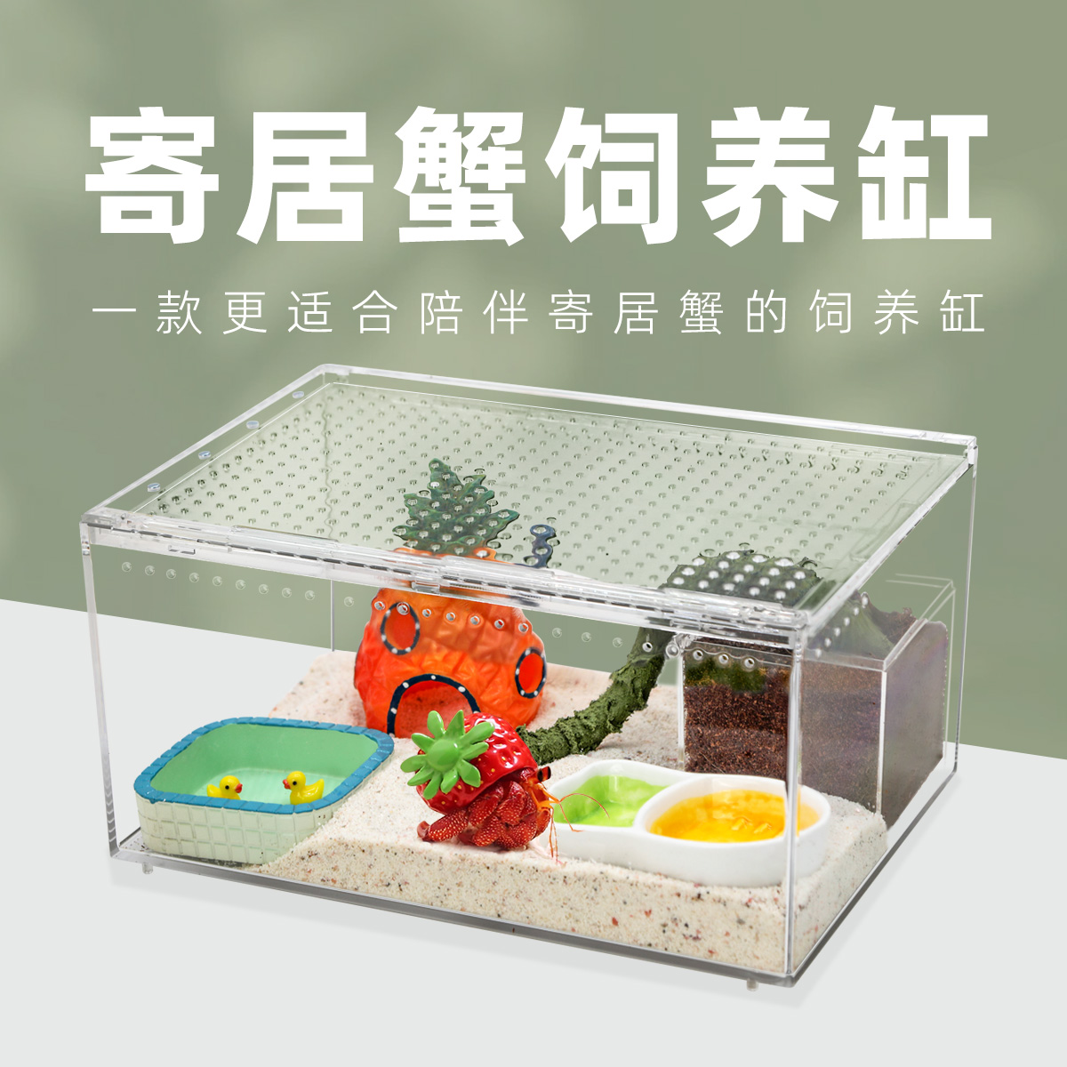 【养宠装备】寄居蟹饲养免安装不漏沙新手饲养套装寄居蟹饲养箱