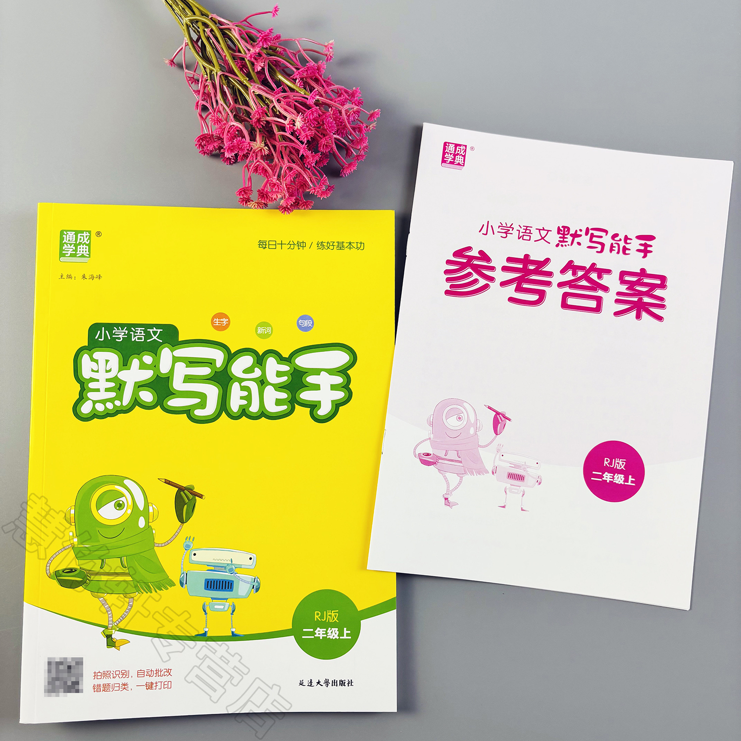 语文默写能手二年级上册语文同步练习册人教版教材同步一课一练