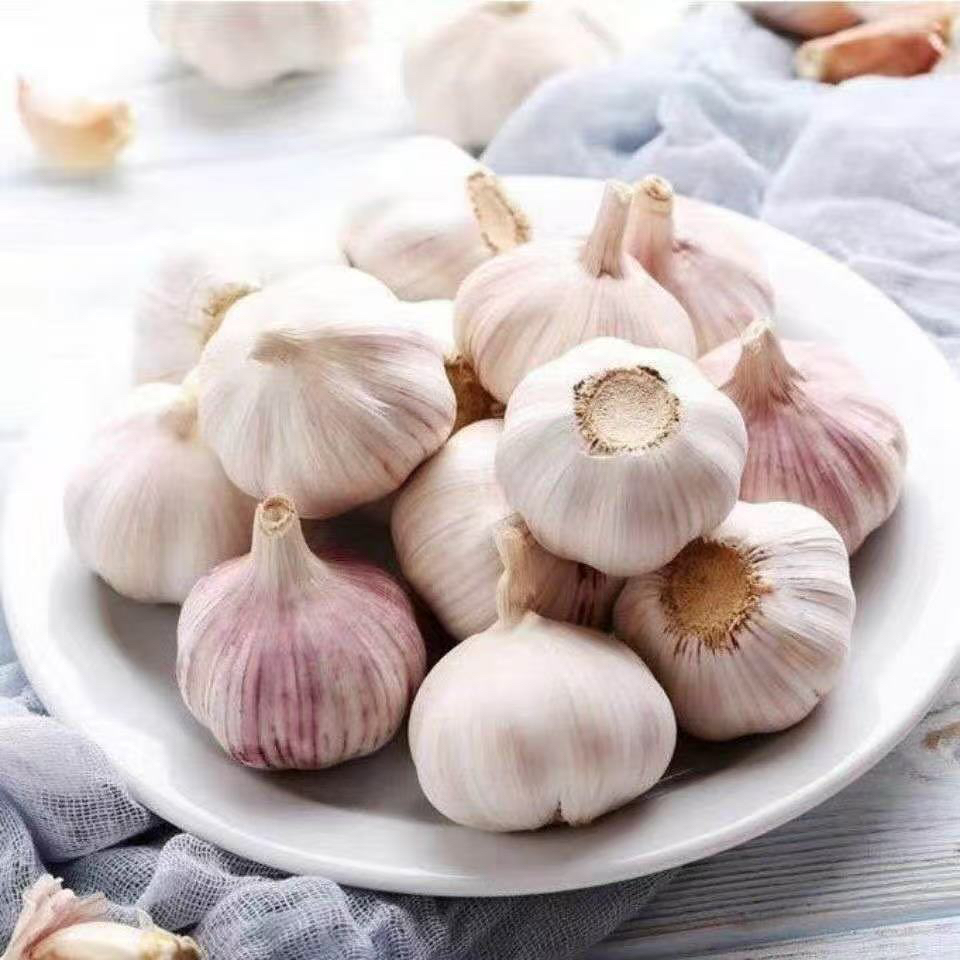 山东紫白皮干大蒜头辛辣提香农产品