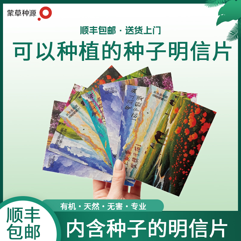 蒙草种源种子明信片太阳花薄荷高颜值草原礼物祝福种植花卉送礼
