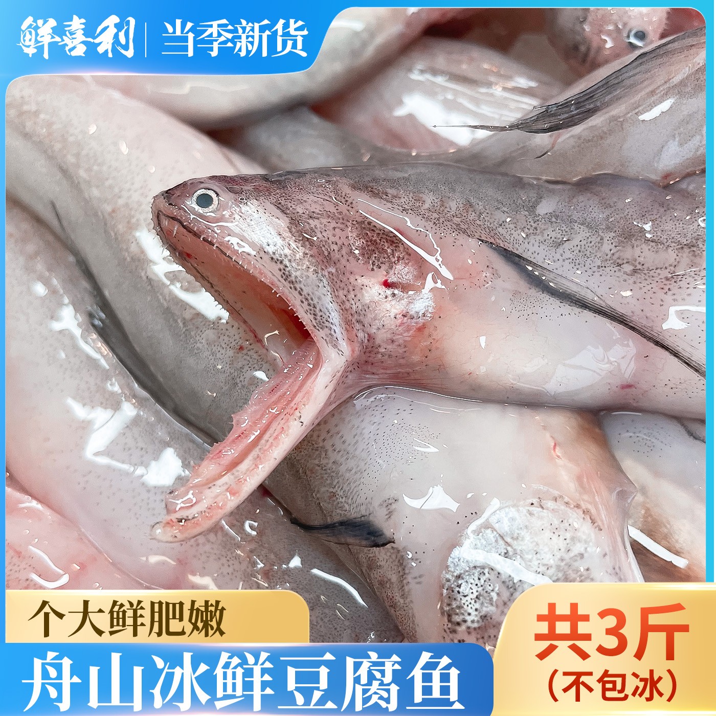 【自家渔场直供】舟山特产新鲜冷冻龙头鱼豆腐鱼九肚鱼水潺生鲜水产