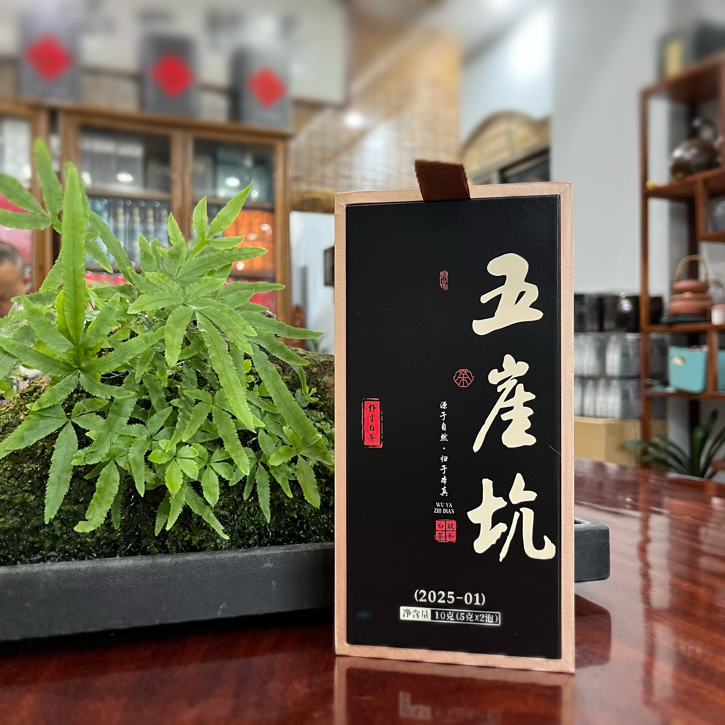 香鼎尖五崖坑野小白  锦屏高山野生老枞贡眉2025年政和白茶  10g