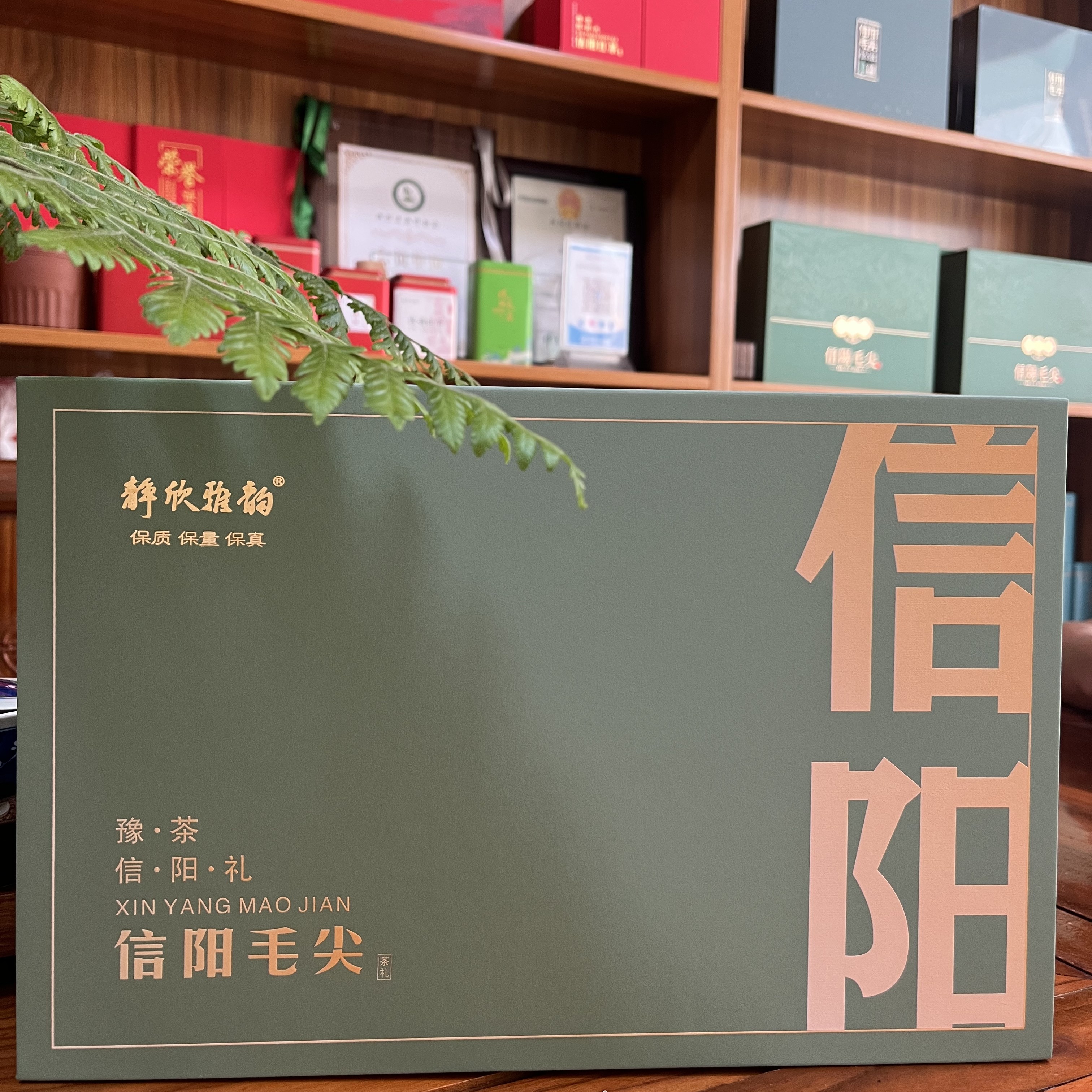 2025新茶 雨前信阳毛尖 高山绿茶 鲜爽回甘 一天一杯茶