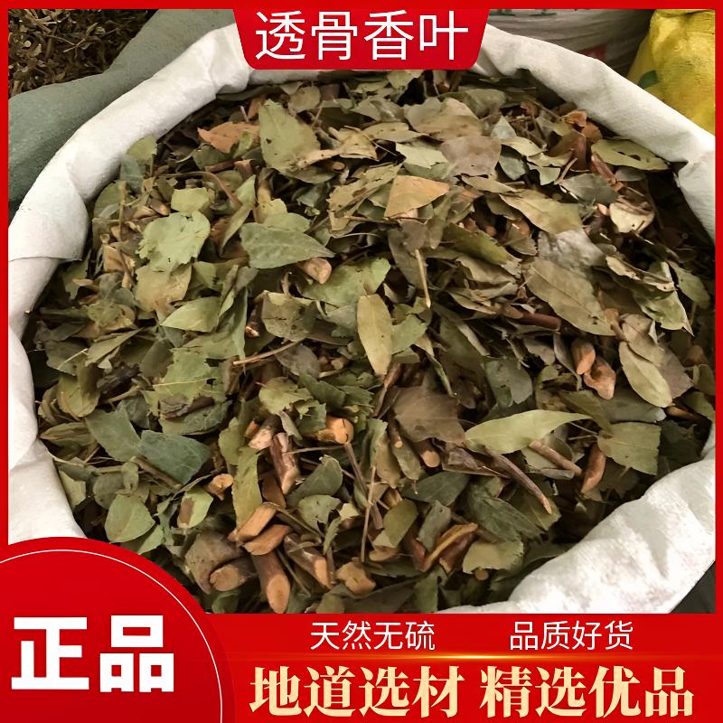 透骨香叶九木香透骨草叶满山香500g正品农家山货包邮另售五加皮