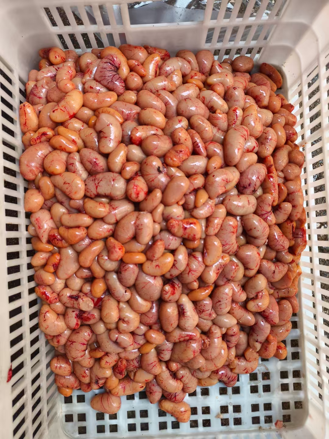 [双12特惠]广西大化（包新鲜）批发公鸡春鸡子新鲜公鸡蛋